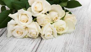 Mawar, tulip, matahari, sakura, anggrek, melati, sepatu dll. 100 Gambar Bunga Mawar Ada Tulisan Terbaik Gambar Pixabay