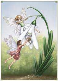 Snowdrop Open Garden 2020 The Old Coach House The Street Brockdish Flower Fairies Fairy Artwork Fantasy Paintings