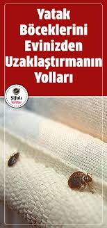 Faydali Bilgi Panosundaki Pin