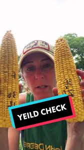 Counting Corn Kernels for Yield Checks