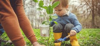 Te damos 4 consejos que harán mucho por esta labor. 6 Juegos De Educacion Ambiental Para Acercar La Naturaleza A Los Ninos