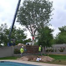 Moon valley nursery has the inventory and knowledgeable staff to get every job done. Moon Valley Nurseries 350 Photos 281 Reviews Nurseries Gardening 9040 S Eastern Ave Las Vegas Nv United States Phone Number Yelp