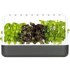 Best Buy Click Grow Smart Garden 9 Pod Gray Sg9s8us Smart Garden Growing Organic Vegetables Indoor Gardening Kit