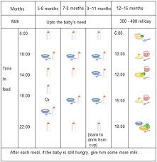 Savesave jadwal makan bayi 6 bulan for later. Panduan Jadwal Mpasi Sehari Untuk Bayi Semua Halaman Nakita