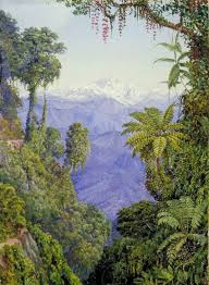 Pine-Clad Slopes of Nagkunda, North India, and View of the Distant Mountains, Marianne North, circa 1878 - Traditional visual art under Public domain license