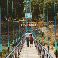 Selain menghadirkan penginapan dengan nuansa. Waduk Selorejo Review Harga Tiket Masuk 2021