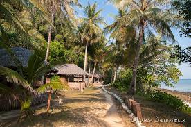 Fresh, clear flowing rivers will accompany you all are here. Rimba Resort Welcome To Rimba Resort Sibu Island Malaysia