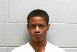 Teen faces murder charges in Lee County stabbing