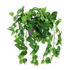 Maybe you would like to learn more about one of these? Purchase The 12 Potted Artificial Green Plant At Michaels