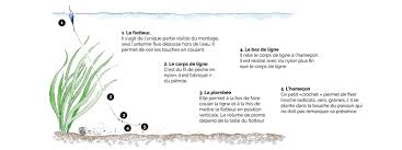 Apprendre Pechelot