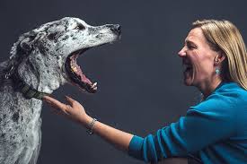 Many dogs who successfully go through. Can Dogs Live Longer Purdue University News