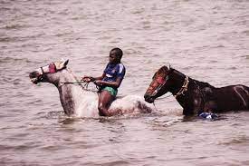 This is 2 cups of the bisquick, two eggs, and 1 cup of milk. Hacking The Dream Of Becoming An International Equestrian Jockey From Sabana In Senegal