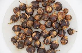 Image result for Thespesia garckeana