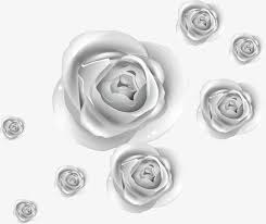 الفضة الورود الورد المرسومة ناقلات المواد ورود Png وملف Psd للتحميل مجانا Silver Roses Abstract Artwork Artwork