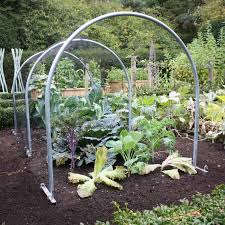 Garden plant support tunnels metal / how to build a low tunnel : High Top Hoops Harrod Horticultural Uk