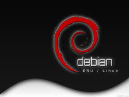 Configure your system for booting off a cd, insert your cd, and reboot. Debian Gnu Linux 7 11 Wheezy And Gnu Linux 8 5 Jessie Released Mobipicker