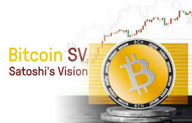 Was Ist Bitcoin Sv Bsv Oder Bchsv Eine Kurze Erklarung Kryptozwerg Alles Rund Um Kryptowahrungen