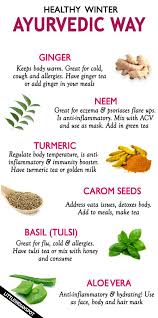 You may only know basil from its extensive use in cooking and tasting but this herb can do miracles on your affected allergy by instantly giving off a soothing cooling effect. 6 Best Ayurvedic Ingredients For Healthy Winter Little Indian Spot Ayurvedic Ayurvedic Remedies Ayurvedic Herbs