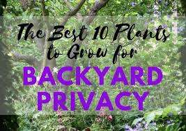 27 344 просмотра 27 тыс. Backyard Privacy 10 Best Plants To Grow Bob Vila