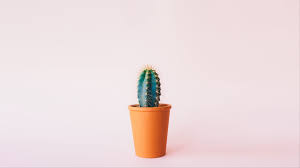 Free for commercial use high quality images Minimalist Pastel Wallpapers Top Free Minimalist Pastel Backgrounds Wallpaperaccess
