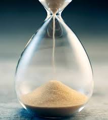 The pet cremation process is the same as in humans. Lost Pet 15 Ideas Of What To Do With Your Pet S Ashes