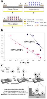 Designed with convenience and protection in mind, this low profile support now integrates flexible, bilateral stays to enhance ankle support. Sensors February 1 2021 Browse Articles