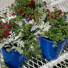 We also do weddings and will work with the bride to find exactly what. Leider Greenhouses Home Facebook