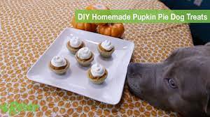 Maybe you would like to learn more about one of these? Thanksgiving Dog Treats 8 Of Our Favorite Diy Recipes