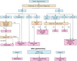 5 the world health prognostic significance of intraoperatively estimated surgical stage in curatively resected gastric. Japanese Gastric Cancer Treatment Guidelines 2018 5th Edition Springerlink