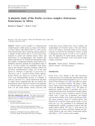 Image result for Emilia subscaposa