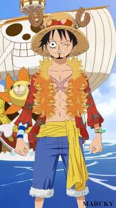 Straw Hat Pirates Luffy Zoro Sanji Usopp Nami Chopper Robin Franky Brook Jinbe Anime Monkey D Luffy Luffy