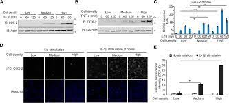 Today the eagle, cactus, and snake appear on the flag. Yes Associated Protein Yap And Transcriptional Coactivator With Pdz Binding Motif Taz Mediate Cell Density Dependent Proinflammatory Responses Journal Of Biological Chemistry