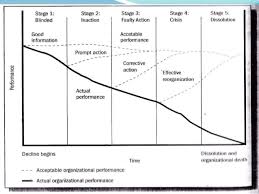 Organizational Life Cycle