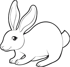 10 Vivant Coloriage A Imprimer Animaux Lapin Images Coloriage Lapin Dessin Lapin Coloriage