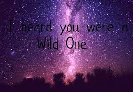 Hey I Heard You Were A Wild One Wild Ones Give It To Me Image