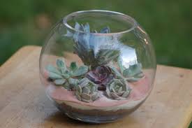 Glass house terrarium with black metal frame is an easy piece to get creative with. How To Make Your Own Succulent Terrarium Centerpieces Offbeat Bride