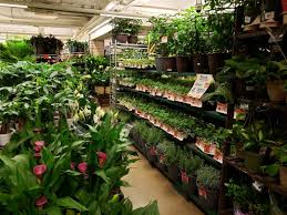 Home depot flat bed truck rental. Garden Center At The Home Depot New York City 1 212 888 1512