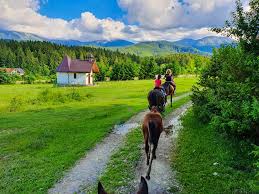 Cautari recente din categoria 'pensiuni cu piscina la munte' (206). Aici GÄƒsiÈ›i Pensiuni È™i Conace De Poveste Cu Ferme Pentru Copii Mama Verde