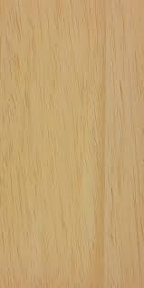 Image result for Triplochiton zambesiacus