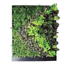 Hang and care for your living picture. Living Frame With Live Plants Versa Wall Kit Gsky Plant Systems Inc Natural Indoor Modular Panel