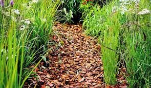 Use in charcoal or gas grills. 5 Reasons To Use More Wood Chips On Your Farm Hobby Farms