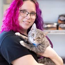 Contact Our High Ridge, Missouri Veterinarians at High Ridge Animal Hospital