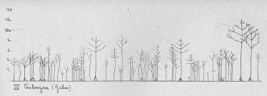 Image result for Monosis conferta