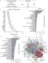 frontiers structural and functional characterization of fibronectin in extracellular vesicles from hepatocytes cell and developmental biology