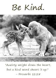 Be Kind To One Another Tenderhearted Forgiving One Another As God In Christ Forgave You Eph 4 32 Cute Animals Cute Baby Animals Animals Beautiful