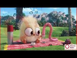 Youtube Angry Birds Animasyon Hayvanlar