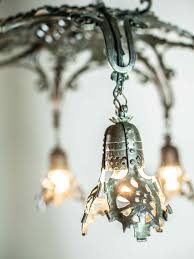 Image result for Manniella gustavi