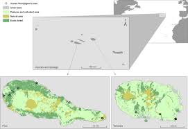 Candidates can check there result using the direct link given below, answer key has been released on october 5, 2020. Impact Of Introduced Nest Predators On Insular Endemic Birds The Case Of The Azores Woodpigeon Columba Palumbus Azorica Springerlink