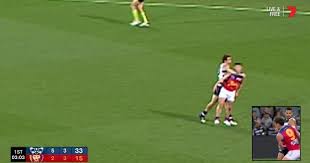 Gary rohan (born 7 june 1991) is an australian rules footballer who plays for the geelong football club in the australian football league (afl). Match Review Cats Forward Cops Two Week Ban Star Lion Charged