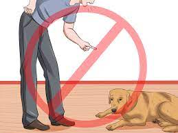 In two more days, take another pad away. How To Use Puppy Pads And Outdoor Potty Training Together